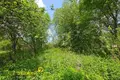 Land  Bialarucki sielski Saviet, Belarus