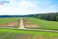 Grundstück  Naujasis Tarpupis, Litauen