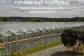 Commercial property 950 m² in Baravuhski selski Savet, Belarus