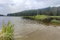 Дом 80 м² Боровской сельский Совет, Беларусь