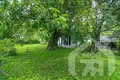 Haus 33 m² Krasnienski sielski Saviet, Belarus