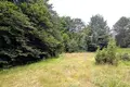 Parcelas  Zabljak, Montenegro