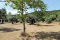 Land 1 room 8 620 m² Pyrgadikia, Greece