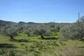 Land 7 000 m² Peloponnese Region, Greece