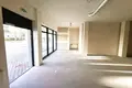 Propiedad comercial 216 m² en Varsovia, Polonia