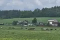 Działki  Zdanovicki sielski Saviet, Białoruś