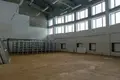 Commercial property 240 m² in Ratomka, Belarus