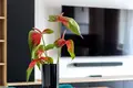Коммерческое помещение 3 комнаты 75 м² в Варшаве, Польша