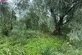 Działki  Dygry, Litwa