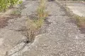 Gewerbefläche 6 000 m² Owidiopol, Ukraine