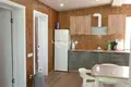 House 52 m² Gorodetsky District, Russia