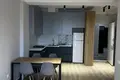 Wohnung 2 zimmer 52 m² in Tiflis, Georgien