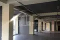 Commercial property 820 m² in Tbilisi, Georgia