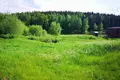 Land  Putcynski sielski Saviet, Belarus