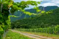 Now available for sale! A new wine factory complex in Kakheti, Telavi Municipality, in the village of Napareuli