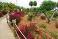 2 bedroom Villa 102 m² Community of Schinocapsals, Greece