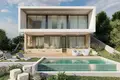 4 bedroom house 254 m² Chloraka, Cyprus