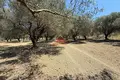 Działki  Panaje, Albania