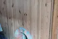 Haus 84 m² Dobrusch, Belarus
