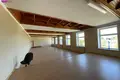 Commercial property 15 953 m² in Smiltyne, Lithuania