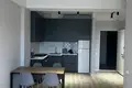 Wohnung 2 zimmer 52 m² in Tiflis, Georgien