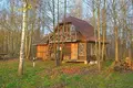Cottage 190 m² Glivinskiy selskiy Sovet, Belarus