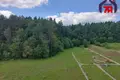 Mieszkanie 1 pokój 42 m² Łohojsk, Białoruś