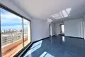 Penthouse 3 bedrooms 316 m², All countries
