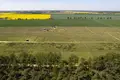 Atterrir 1 405 m² Nieczajna, Pologne