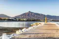 Apartamento 5 habitaciones 333 m² Marbella, Španjolska
