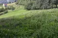 Działki 160 m² Kolasin, Czarnogóra
