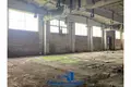 Fabrication 15 000 m² à Lebedevo, Biélorussie