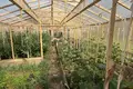 Ferienhaus 175 m² Orscha, Belarus