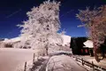 Villa de tres dormitorios 100 m² Zabljak, Montenegro