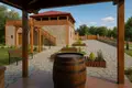 Operating premium class winery – cellar “Zenishi”, located in Kakheti, Sagarejo municipality, in the village of Khashmi