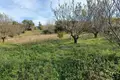 Land 1 room  Settlement "Vines", Greece