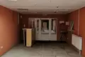 Коммерческое помещение 262 м² Светлогорский городской округ, Россия