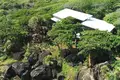 Дом 2 спальни 112 м² Utila, Гондурас