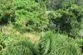 Земельные участки  Равай, Таиланд