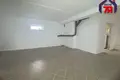 Cottage 156 m² Viasiejski sielski Saviet, Belarus
