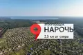 5 bedroom house 172 m² Narach, Belarus