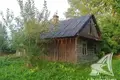 House 38 m² Doubizna, Belarus