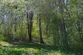 Land  Valikia Matykaly, Belarus