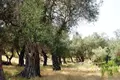 Land 108 000 m² Peloponnese, West Greece and Ionian Sea, Greece