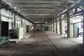 Коммерческое помещение 1 000 м² в Риге, Латвия