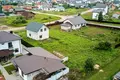 House  Borovlyany, Belarus