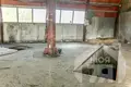 Manufacture 1 100 m² in Maladzyechna, Belarus