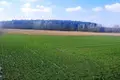 Grundstück 3 025 m² Garby, Polen