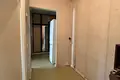 Wohnung 2 Zimmer 56 m² Minsk, Weißrussland