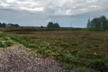 Parcelas  Zhabino, Rusia